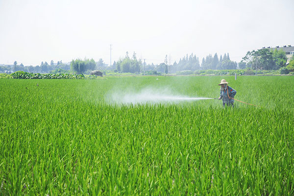 叶面肥厂家讲什么是土壤质?