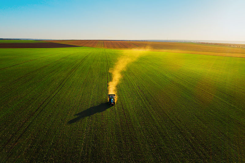 怎样正确使用叶面肥?这几方面要做到位